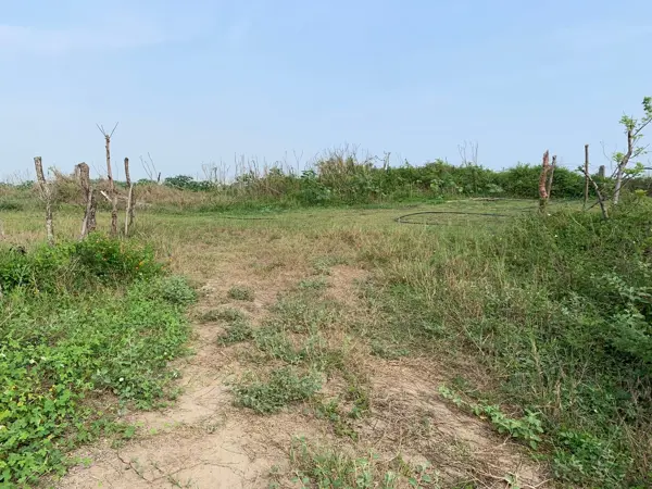 Terreno en venta en Anton Lizardo, Alvarado — foto 2 de 9
