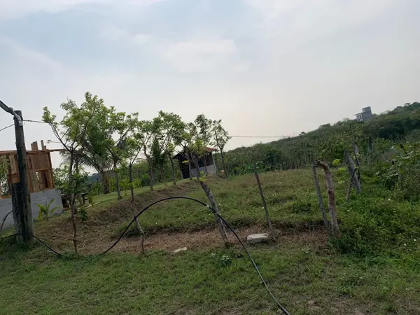 Terreno en venta en Anton Lizardo, Alvarado — foto 3 de 9