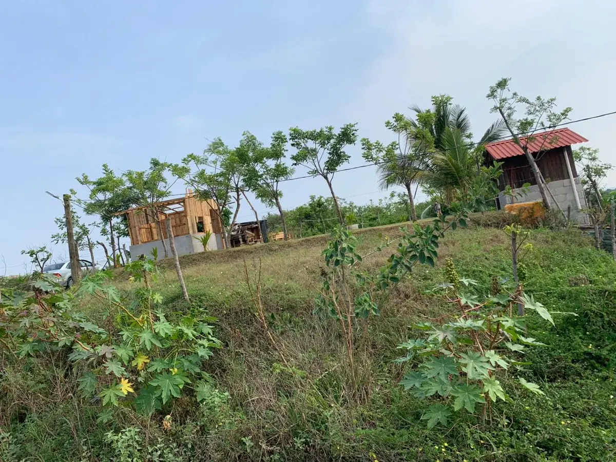 Terreno en venta en Anton Lizardo, Alvarado — foto 1 de 9