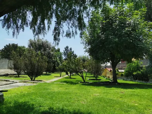 Terreno en venta en Santa Maria Tepepan, Xochimilco — foto 3 de 9