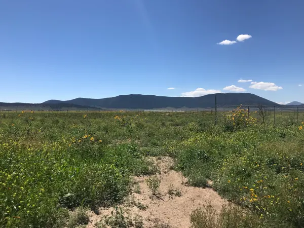 Terreno en venta en Escobedo, Arteaga — foto 2 de 25