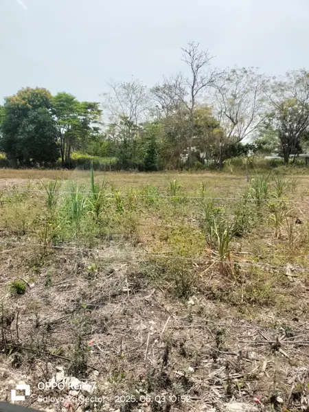 Terreno en venta en Saloya 1ra. Sección, Nacajuca — foto 3 de 9