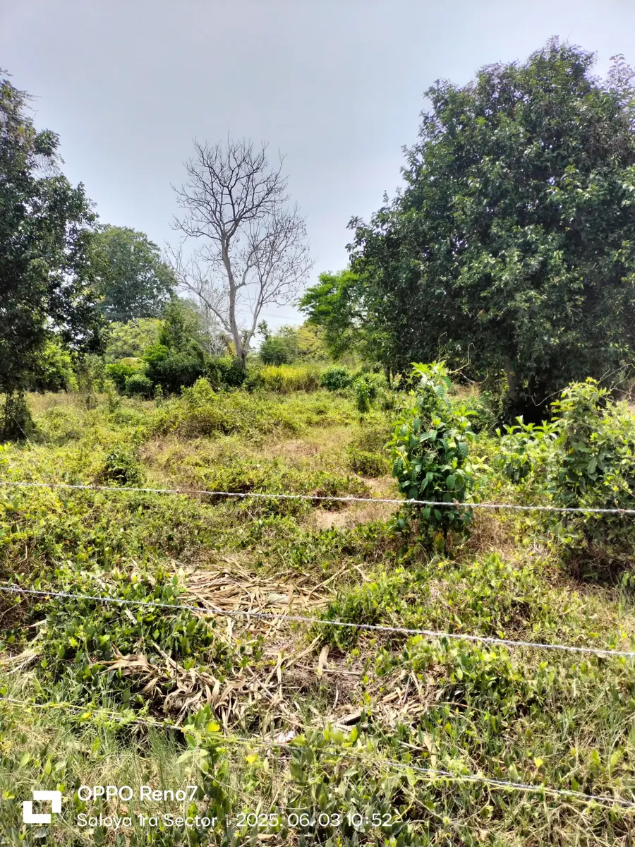Terreno en venta en Saloya 1ra. Sección, Nacajuca — foto 1 de 9