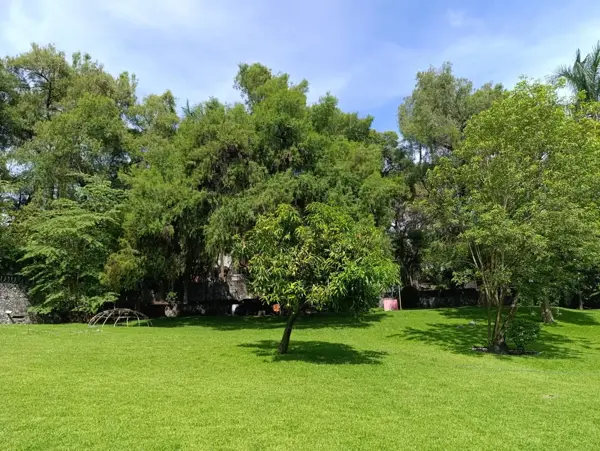 Terreno en venta en Burgos, Temixco — foto 3 de 14