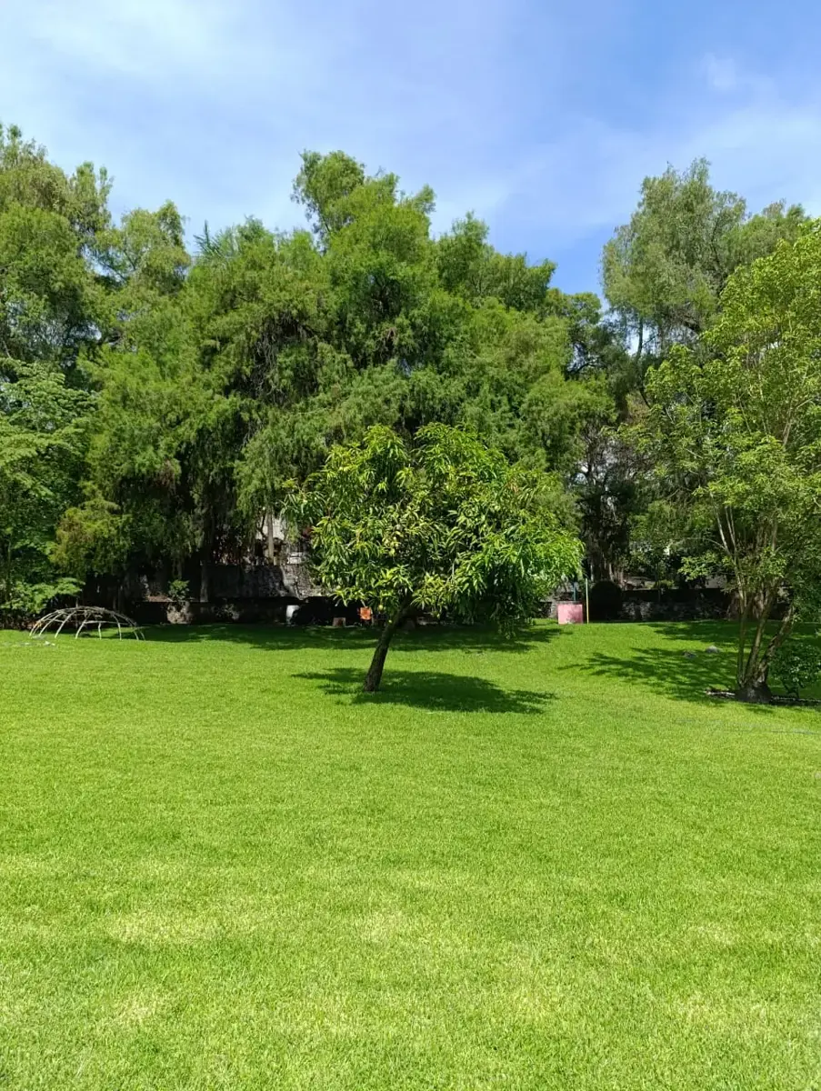 Terreno en venta en Burgos, Temixco — foto 1 de 14