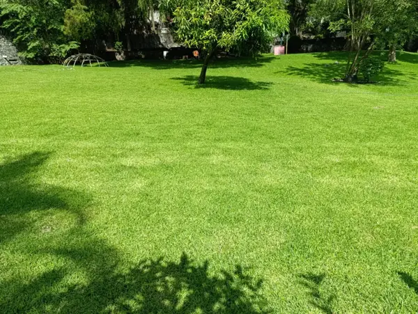 Terreno en venta en Burgos, Temixco — foto 2 de 14