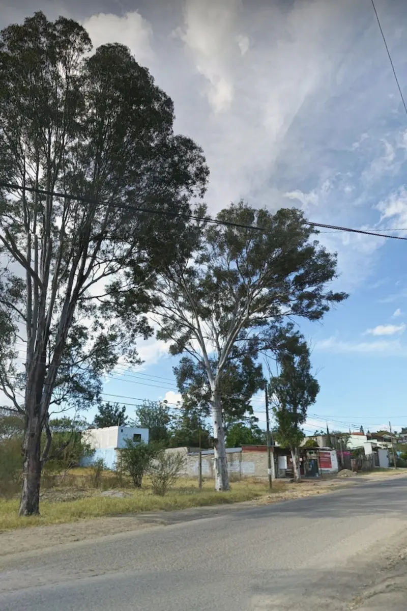 Terreno en venta en Santo Domingo Barrio Bajo, Villa de Etla — foto 1 de 6