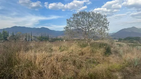 Terreno en venta en Santo Domingo Barrio Bajo, Villa de Etla — foto 3 de 6