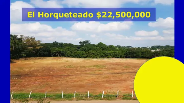 Terreno en venta en Parrilla, Centro — foto 3 de 7
