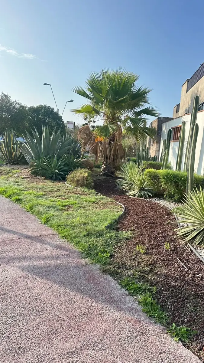 Departamento en renta en Zirándaro, San Miguel de Allende — foto 1 de 19