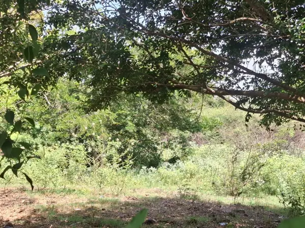 Terreno en venta en Primero de La Palma, Medellín de Bravo — foto 2 de 3