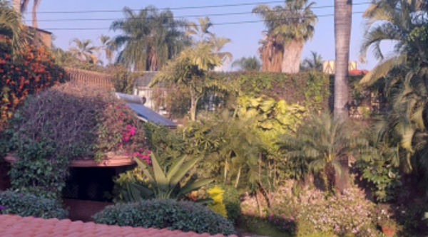 Casa en renta en Rinconada Palmira, Cuernavaca — foto 2 de 31