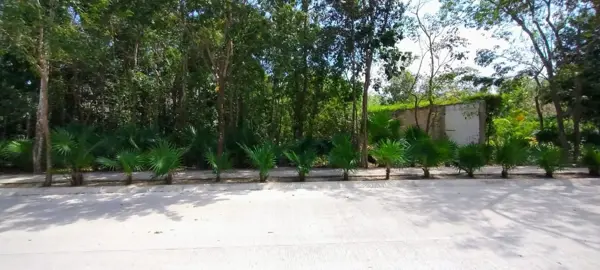 Terreno en venta en El Tigrillo, Solidaridad — foto 3 de 33