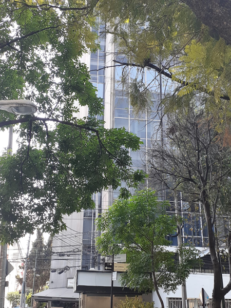 Oficina en renta en Del Valle Centro, Benito Juárez — foto 2 de 14
