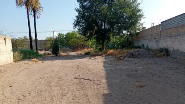 Terreno en venta en 1 de Mayo, Lerdo — foto 3 de 12