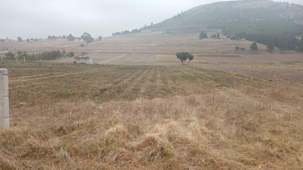 Terreno en venta en El Capón (Puerta del Llano), Zinacantepec — foto 2 de 3