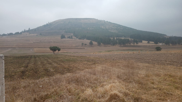 Terreno en venta en El Capón (Puerta del Llano), Zinacantepec — foto 3 de 3