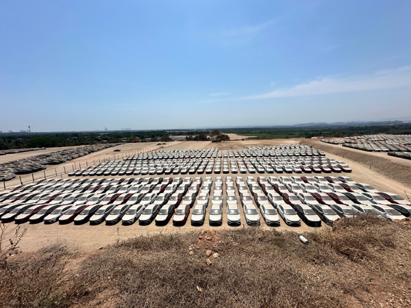 SE RENTAN 4, 4, 5.5 y 1  HECTÁREA EN SAN PANCHO LAZARO CÁRDENAS LISTAS PARA OPERAR