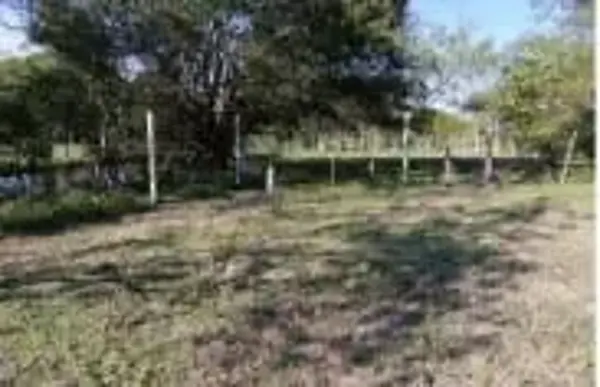 Terreno en venta en La Palma, Centro — foto 3 de 4