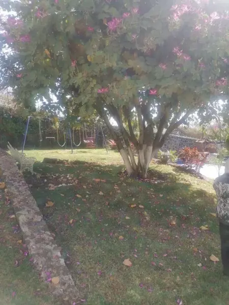 Casa en venta en Rodolfo López de Nava (Los Naranjos), Cuernavaca — foto 3 de 31