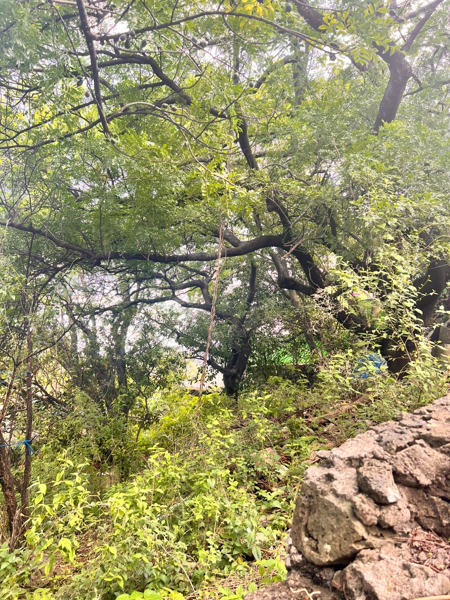 Terreno en venta en San Jose, Tepoztlán — foto 3 de 7