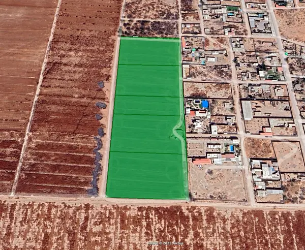 Terreno en venta en El Olivo, Matamoros — foto 3 de 7