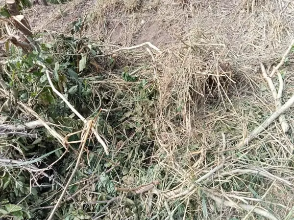 Terreno en venta en Delfino Victoria (santa Fe), Veracruz — foto 2 de 11
