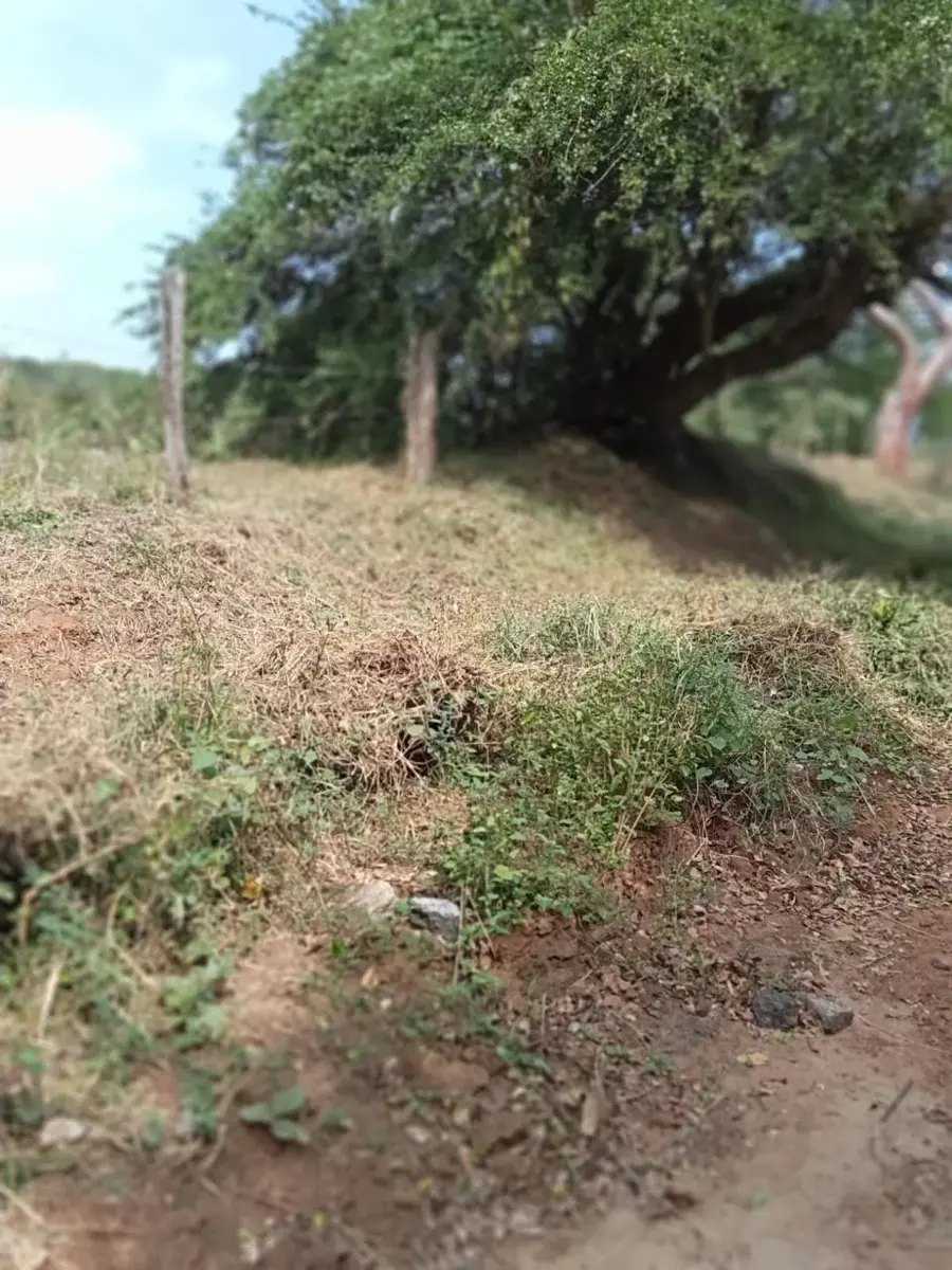 Terreno en venta en Delfino Victoria (santa Fe), Veracruz — foto 1 de 11