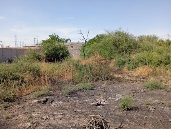 Terreno en venta en El Perú, Torreón — foto 3 de 15
