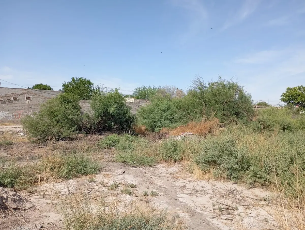 Terreno en venta en El Perú, Torreón — foto 1 de 15