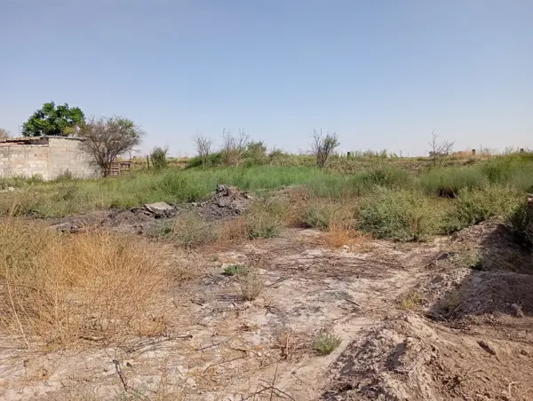 Terreno en venta en El Perú, Torreón — foto 2 de 15