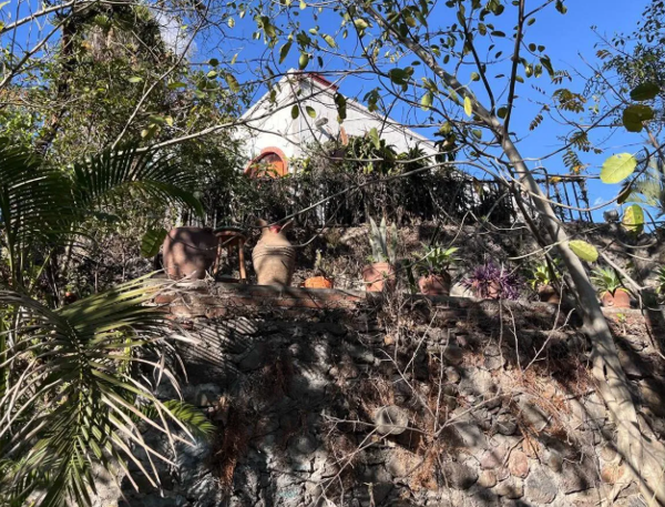 Casa en renta en Acapatzingo, Cuernavaca — foto 2 de 18