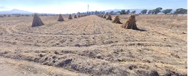 Terreno en venta en Chalco de Díaz Covarrubias Centro, Chalco — foto 3 de 8