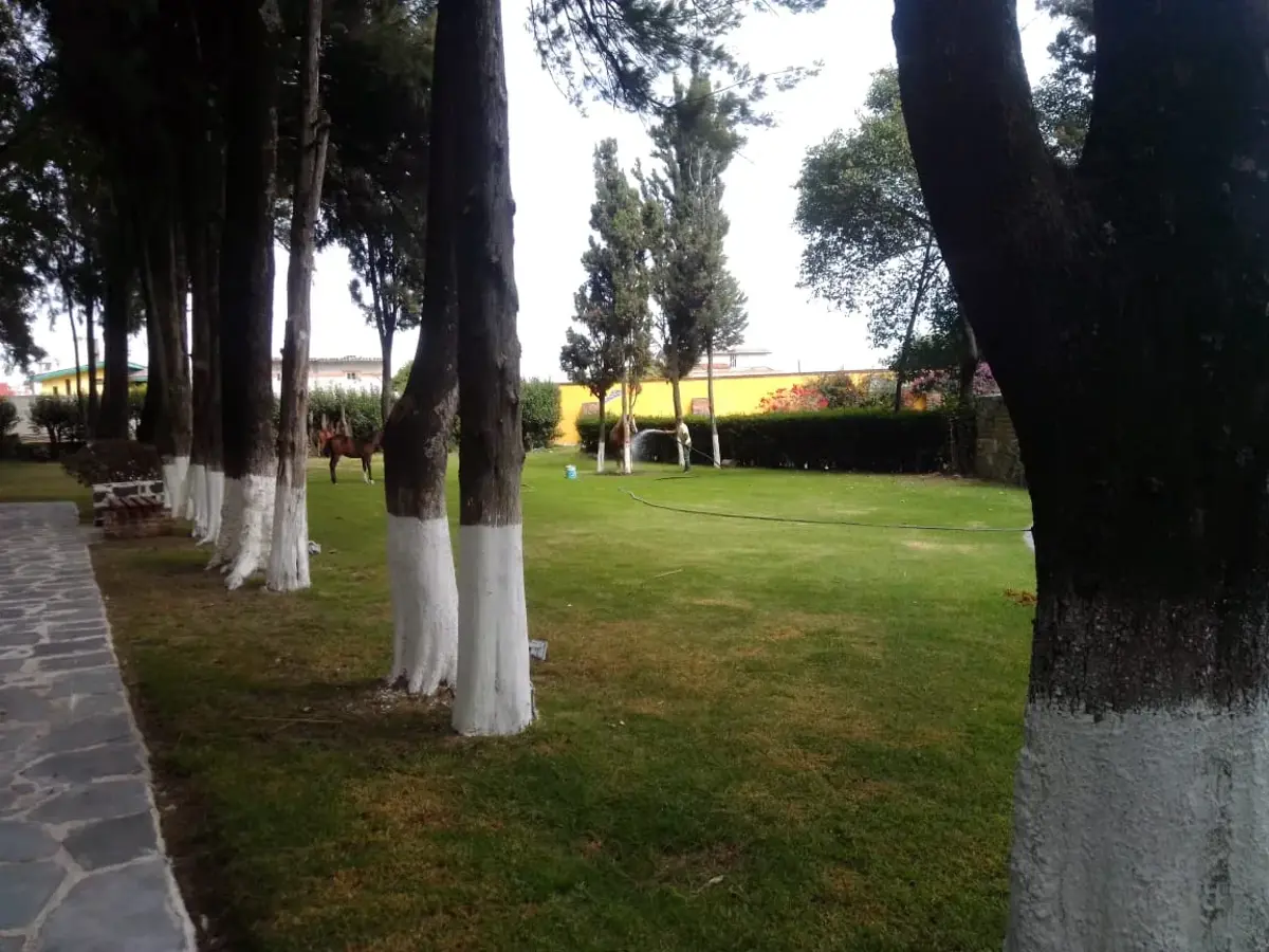Terreno en venta en Zerezotla, San Pedro Cholula — foto 1 de 10