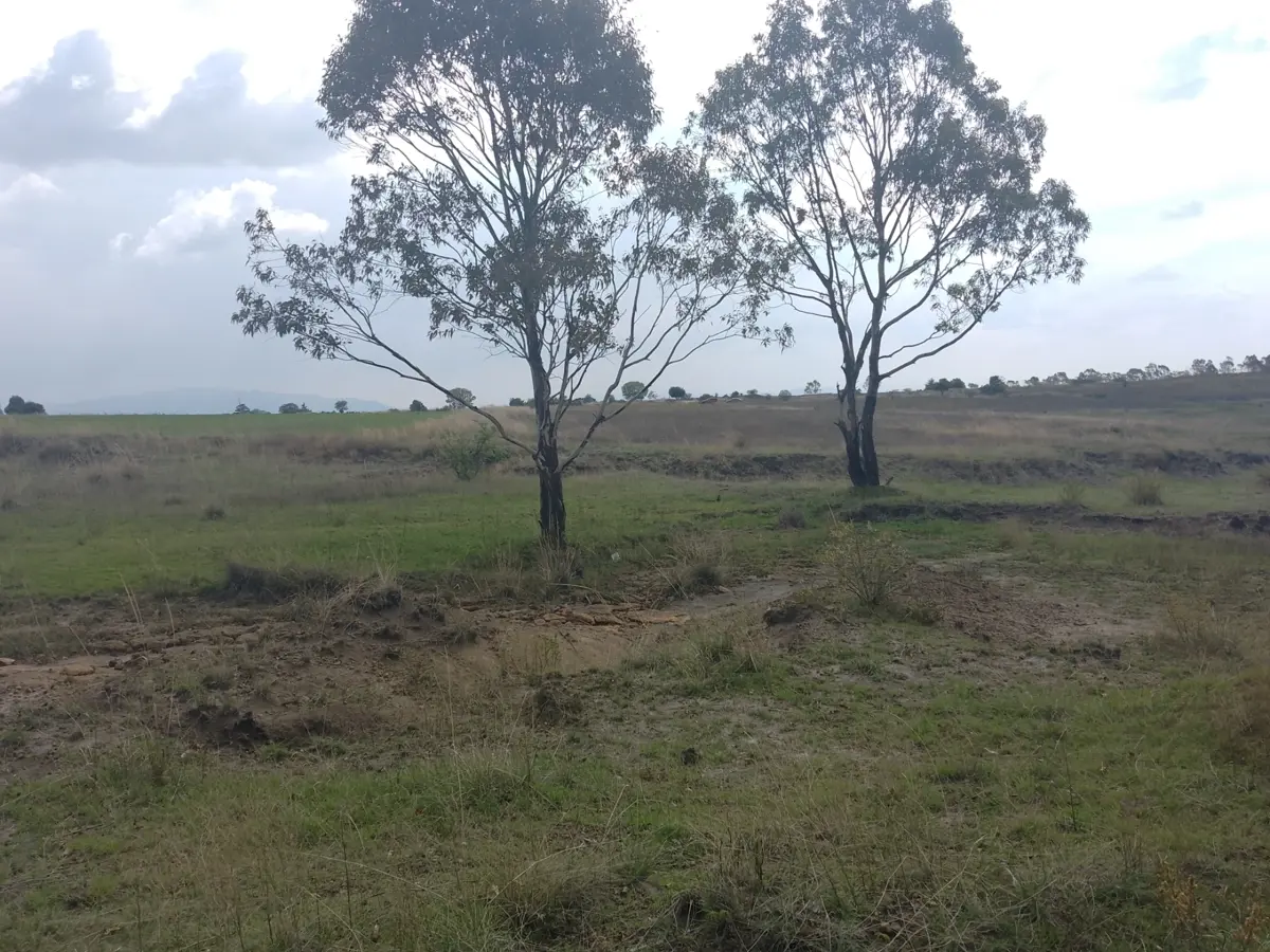Terreno en venta en San Francisco Acazuchitlaltongo, Polotitlán — foto 1 de 6