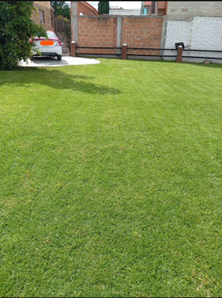 Terreno en venta en San Andres Totoltepec, Tlalpan — foto 1 de 3