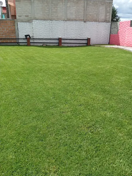 Terreno en venta en San Andres Totoltepec, Tlalpan — foto 3 de 3