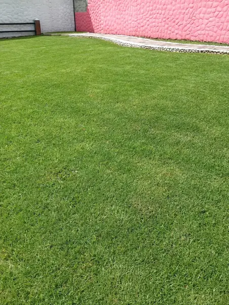 Terreno en venta en San Andres Totoltepec, Tlalpan — foto 2 de 3