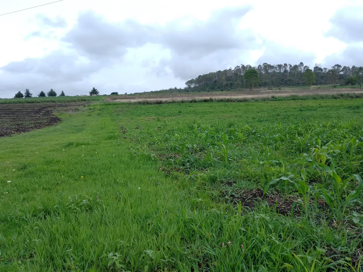 Terreno en venta en Arroyo Zarco, Aculco — foto 1 de 9
