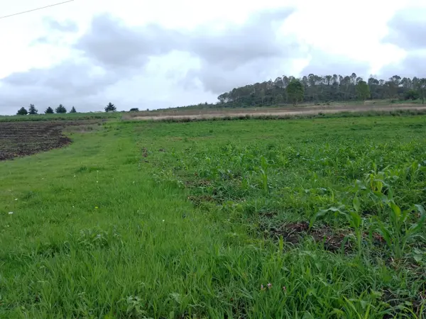 Terreno residencial en Aculco, 15000 m² disponibles por $750,000