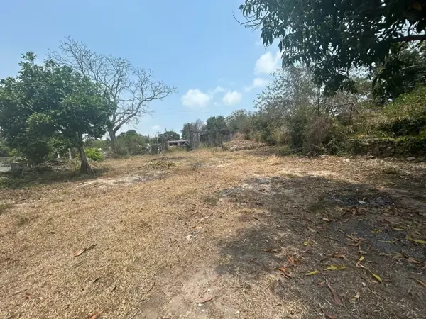 Terreno en renta en Lomas del Real, Altamira — foto 2 de 2