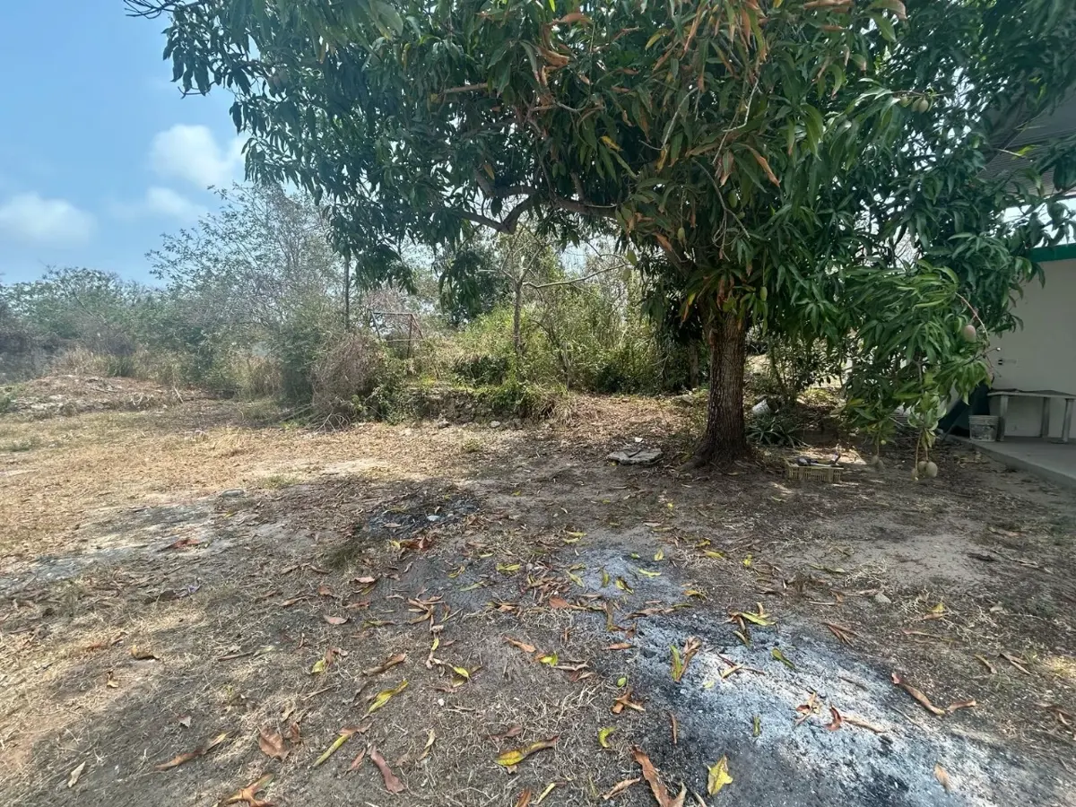 Terreno en renta en Lomas del Real, Altamira — foto 1 de 2
