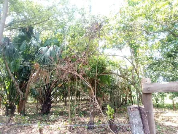 Terreno en venta en Tierra Amarilla 1ra. Sección, Centro — foto 2 de 9