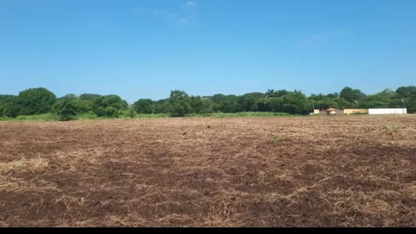 Terreno en venta en Jamapa, Jamapa — foto 2 de 8