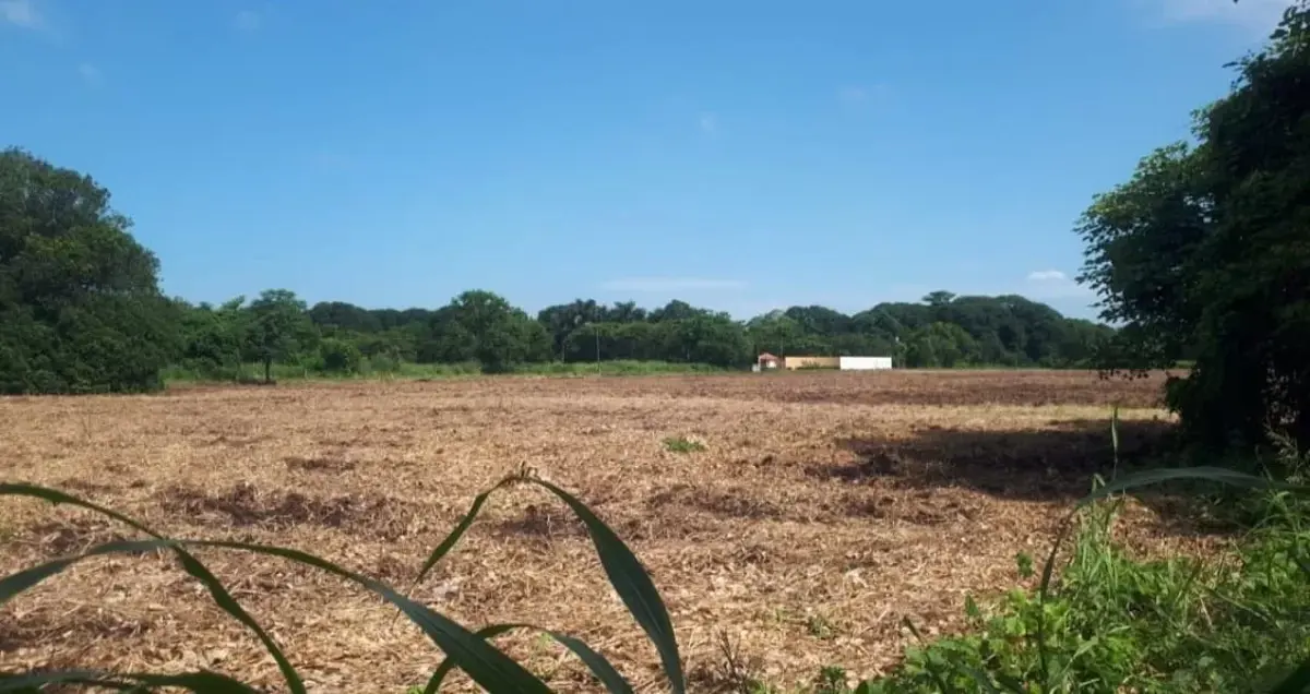 Terreno en venta en Jamapa, Jamapa — foto 1 de 8