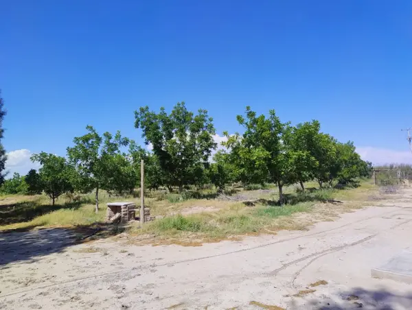Terreno en venta en San Francisco del Progreso, Parras — foto 2 de 12