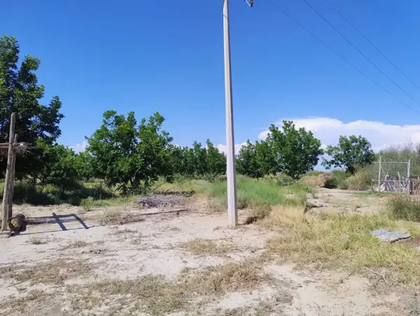 Terreno en venta en San Francisco del Progreso, Parras — foto 3 de 12