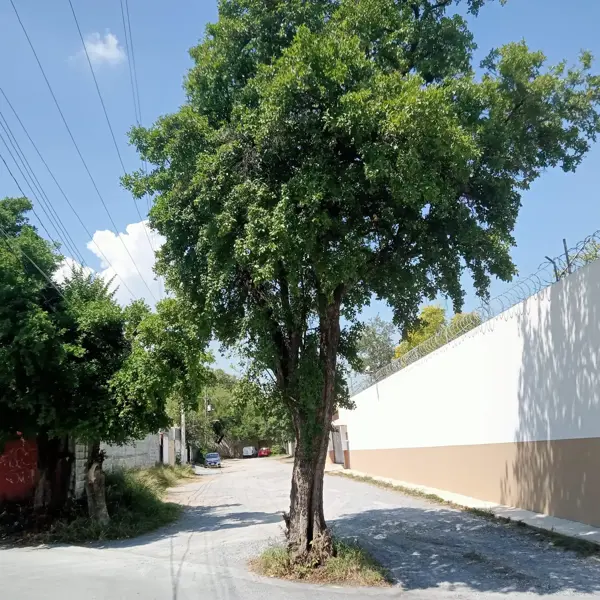 TERRENO EN VENTA | RESIDENCIAL LA LÁGRIMA – CARRETERA NACIONAL