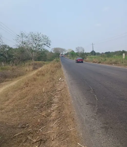 Terreno en venta en El Moralito, Cotaxtla — foto 3 de 9