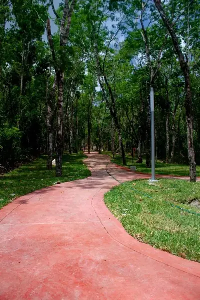 Terreno en venta en Del Bosque, Isla Mujeres — foto 3 de 8